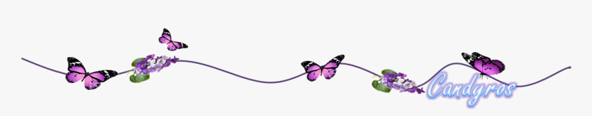 Separador 1 - Butterfly, HD Png Download, Free Download