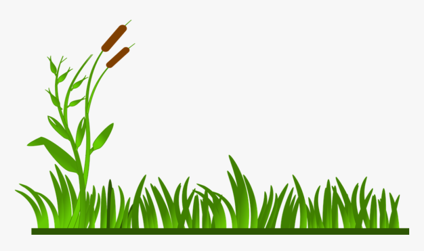 Grass Border Clipart, HD Png Download, Free Download