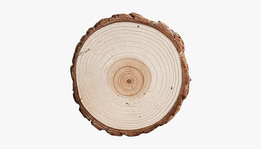 Circle, HD Png Download, Free Download