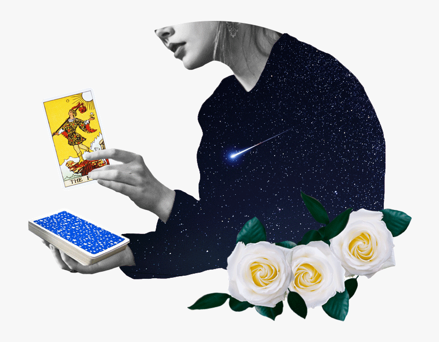 How To Read Tarot Cards - Garden Roses, HD Png Download, Free Download