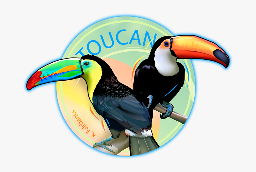 723 X 524 - Color Toucan Drawing, HD Png Download, Free Download