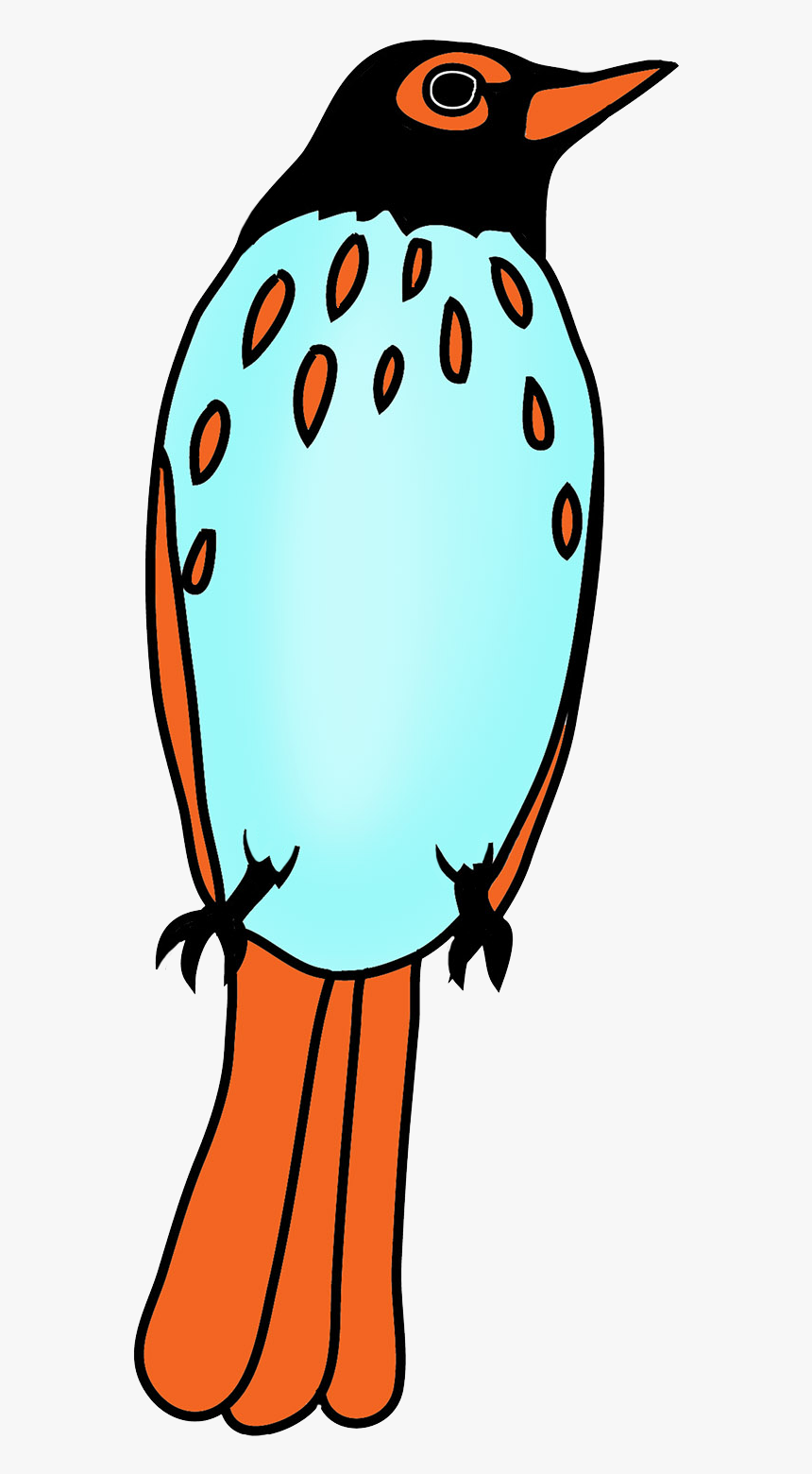 Bird Drawing With Many Colors - Drawing, HD Png Download, Free Download