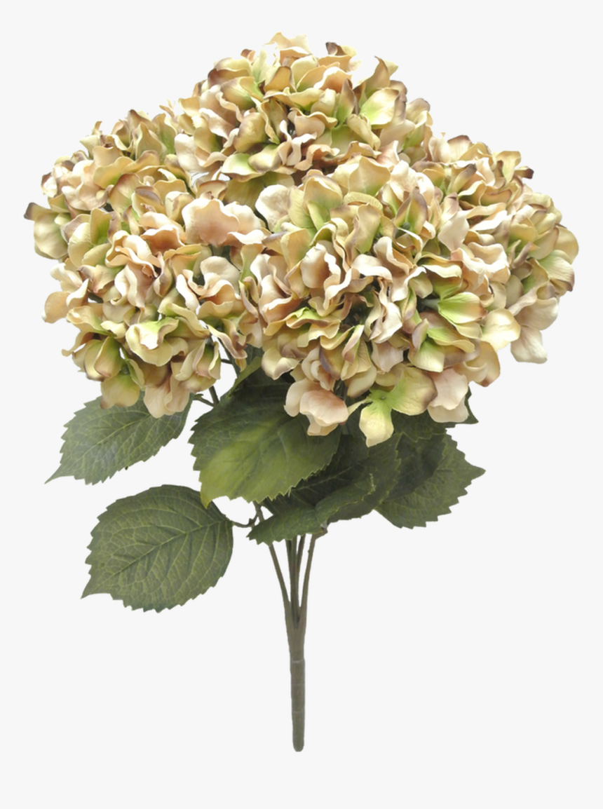 20 - Bouquet, HD Png Download, Free Download