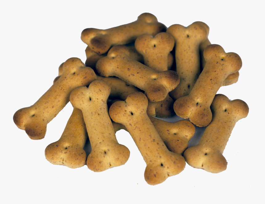 Zingiber, HD Png Download, Free Download