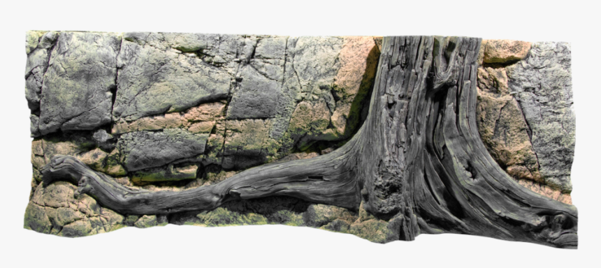 Back To Nature Amazonas 3d Background Type - Back To Nature 3d Aquarium Background, HD Png Download, Free Download
