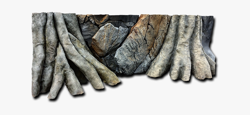 Driftwood, HD Png Download, Free Download