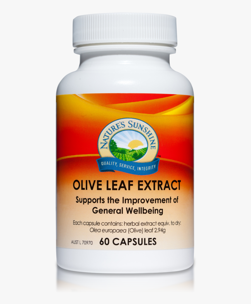 Olive Leaf Extract - Nature's Sunshine Gotu Kola, HD Png Download, Free Download