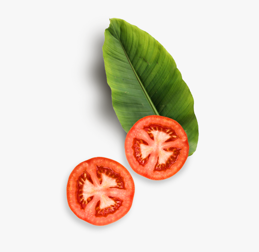 Tomato Slices And Leaf - Transparent Background Tomato Slice Png, Png Download, Free Download