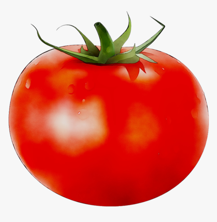 Plum Tomato Bush Tomato Food Vegetable - Plum Tomato, HD Png Download, Free Download