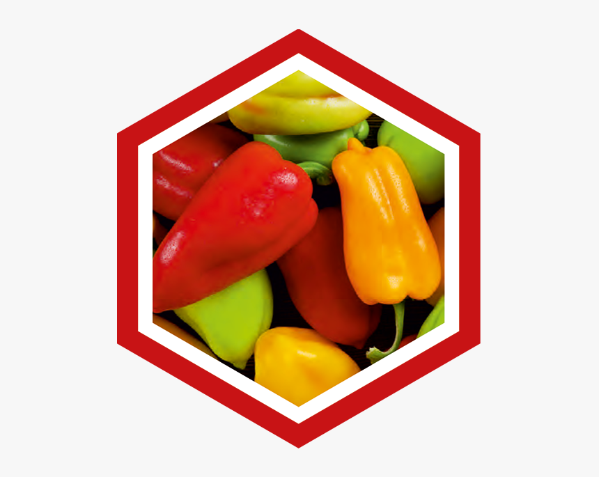 Produkcia-paprika - Yellow Pepper, HD Png Download, Free Download