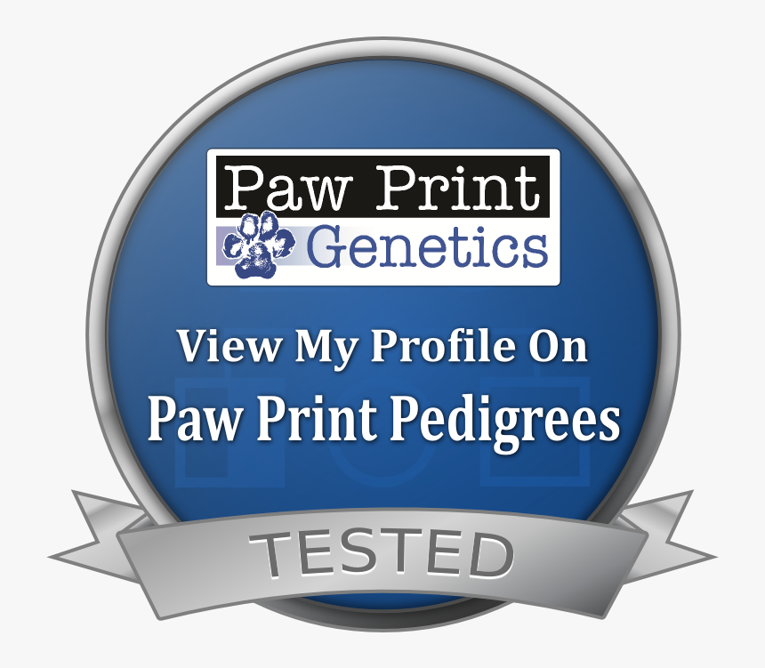 Paw Print Pedigrees Dog Seal - Paw Print Genetics Logo, HD Png Download, Free Download