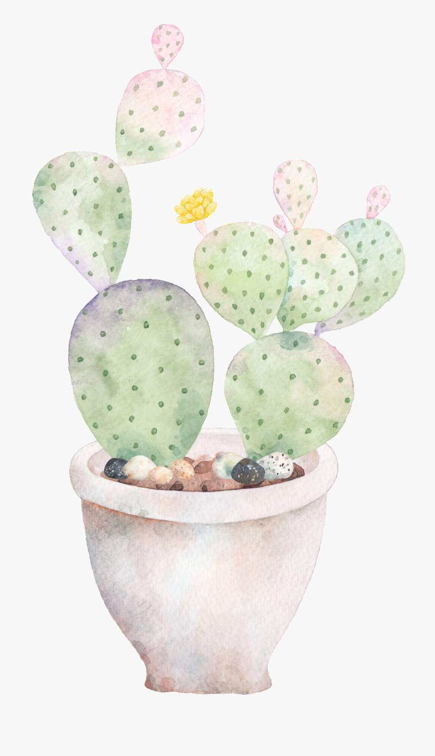 Hand Painted A Plate Of Cactus Png Transparent - Barbary Fig, Png Download, Free Download