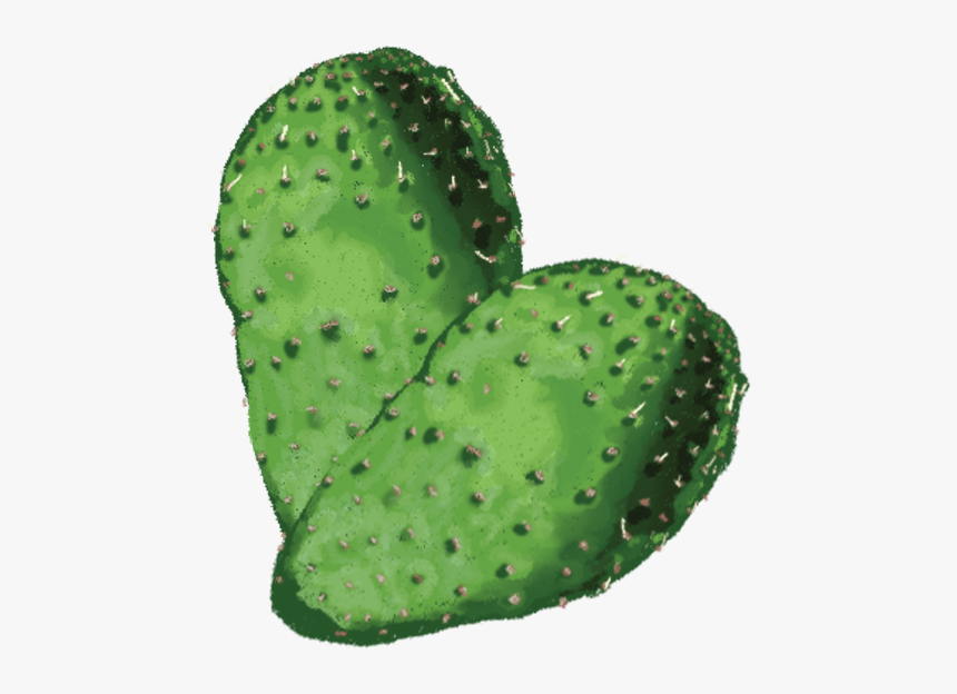 Cactus - Eastern Prickly Pear, HD Png Download, Free Download