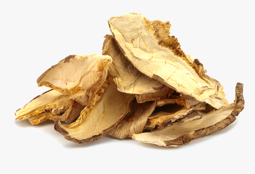 Hen-of-the-wood, HD Png Download, Free Download