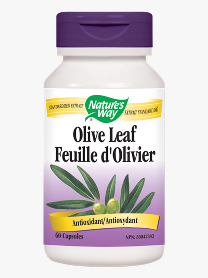 Nature"s Way Olive Leaf Extract 60 Veg Capsules - Nature Way Olive Leaf, HD Png Download, Free Download