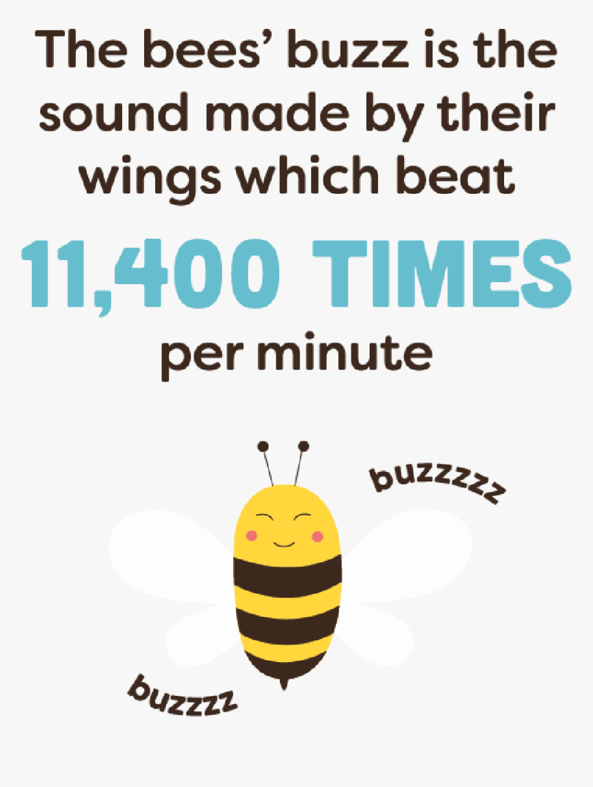 The Bee"s Buzz Is The Sound Made By Their Winds Whcih - Honeybee, HD Png Download, Free Download