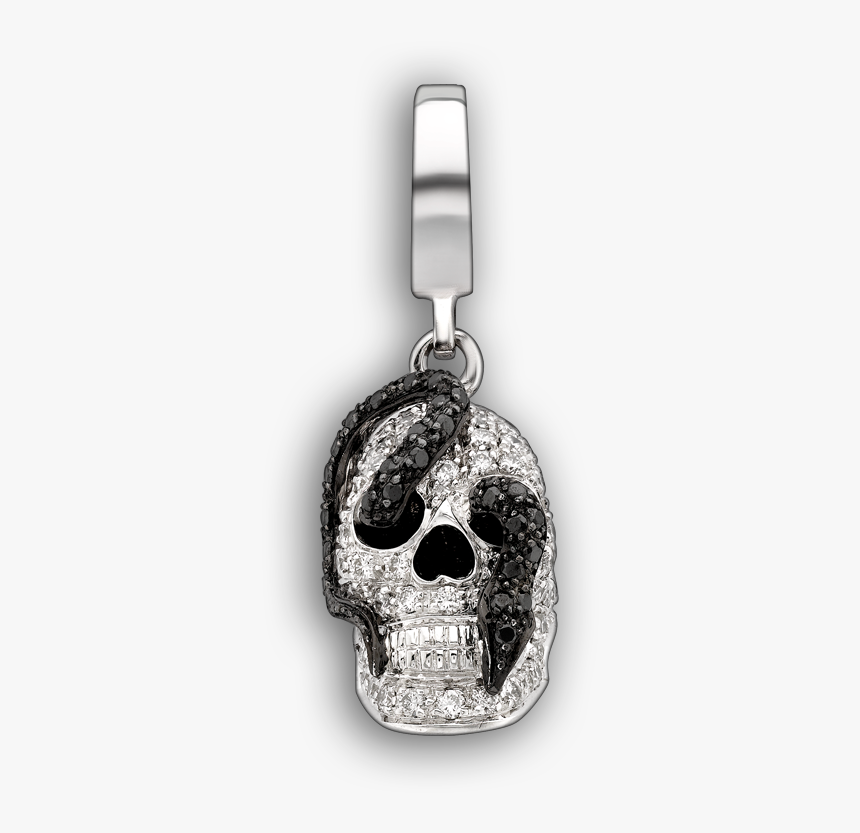 Skull, HD Png Download, Free Download