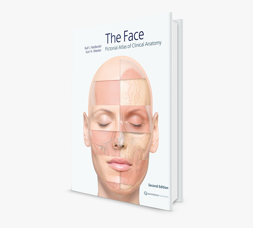 The Face - Thread Lifting Clinical Usage, HD Png Download, Free Download