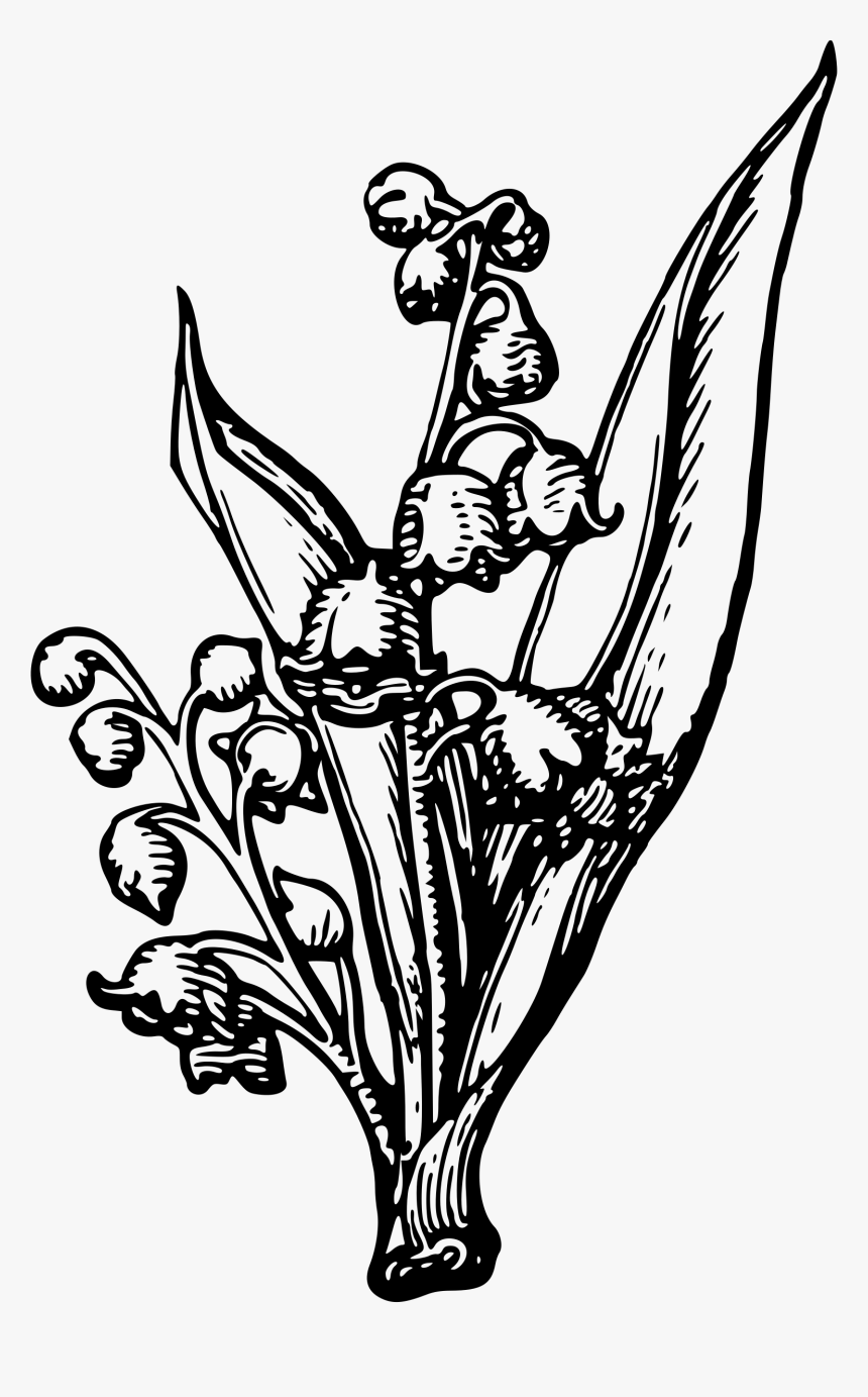 Transparent Flower Bud Png - Alfred Tennyson, 1st Baron Tennyson, Png Download, Free Download