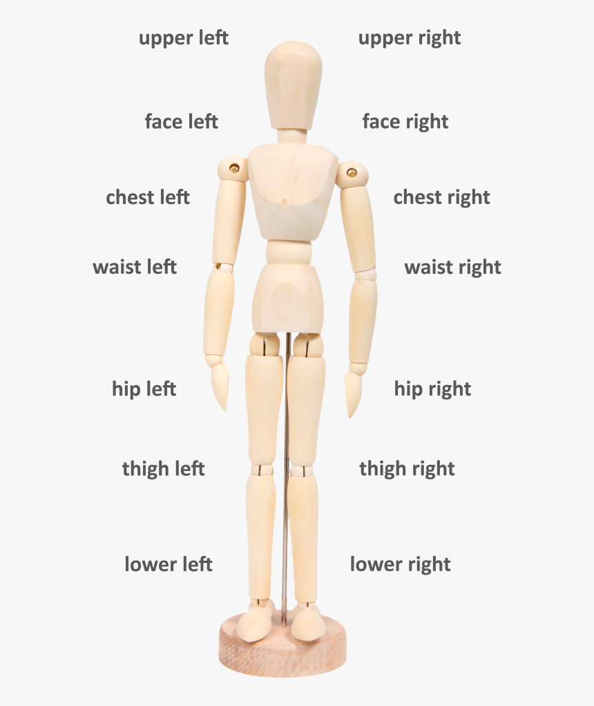 Body Directions - Wooden Mannequin, HD Png Download, Free Download