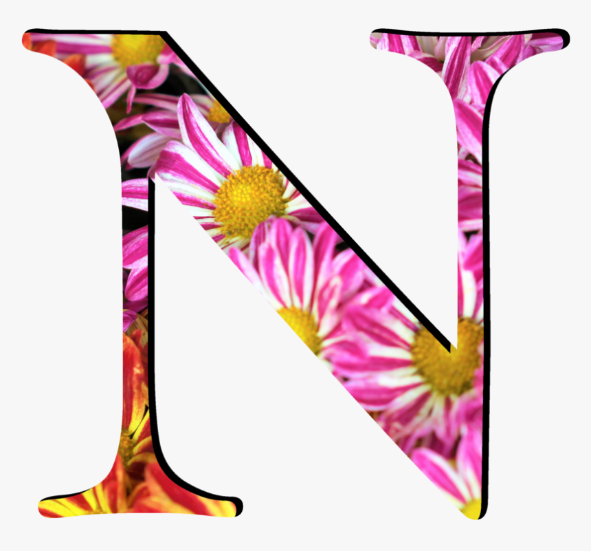 N Logo Hd, HD Png Download, Free Download