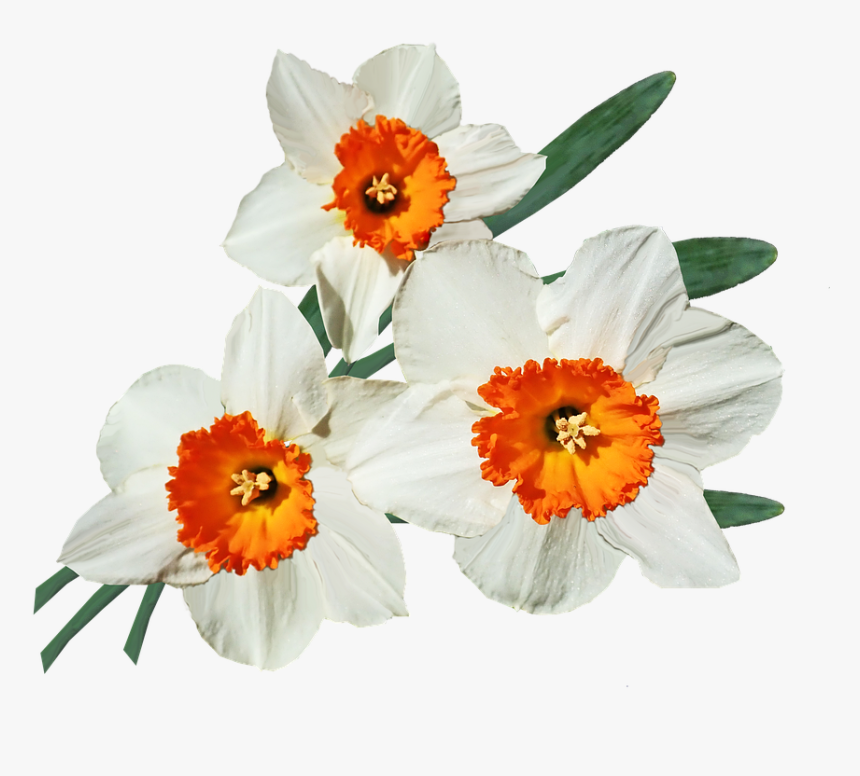 Artificial Flower, HD Png Download, Free Download