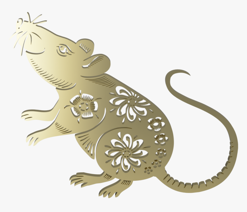 Rat, HD Png Download, Free Download