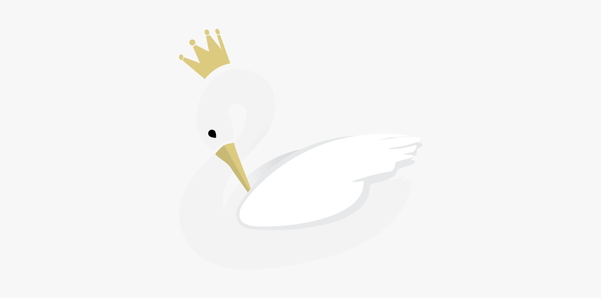 Duck, HD Png Download, Free Download