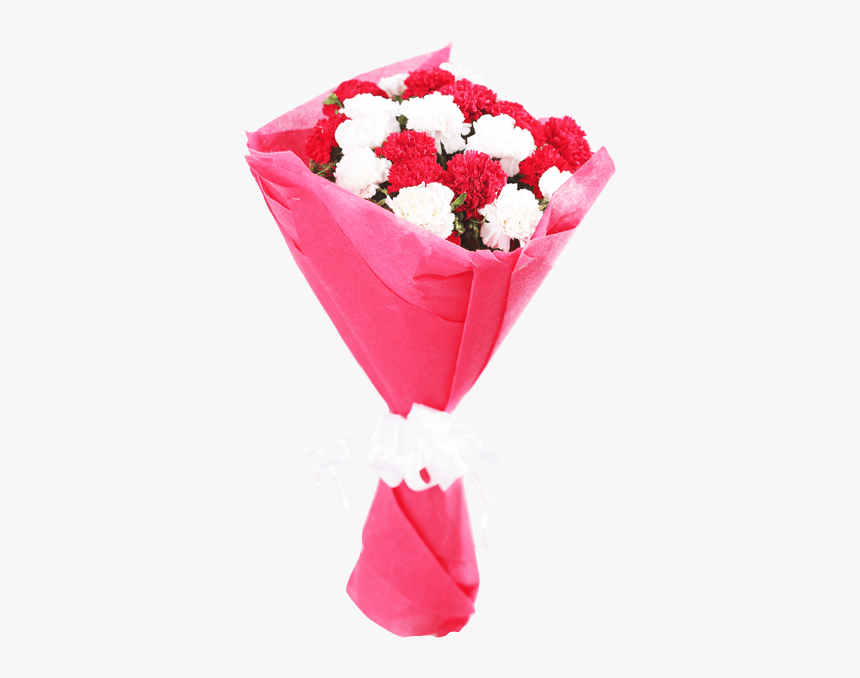 Red N White Carnations - Bouquet, HD Png Download, Free Download