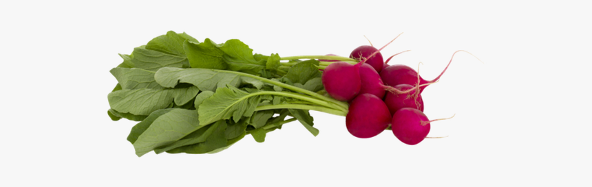 Radishes Png, Transparent Png, Free Download