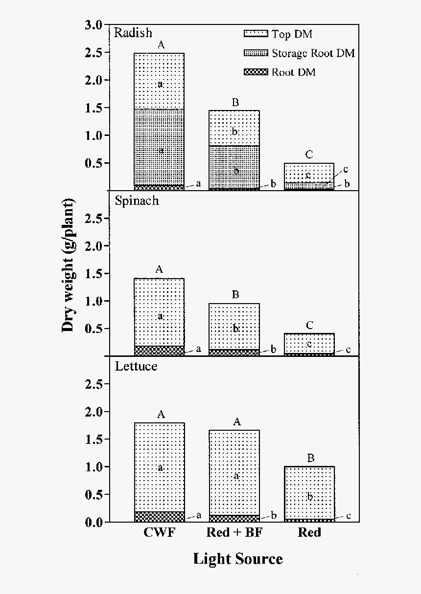 Dry Weight Of Top (leaves, Petioles, And Stem), Root, - Lettuce Of Petiole Leave, HD Png Download, Free Download