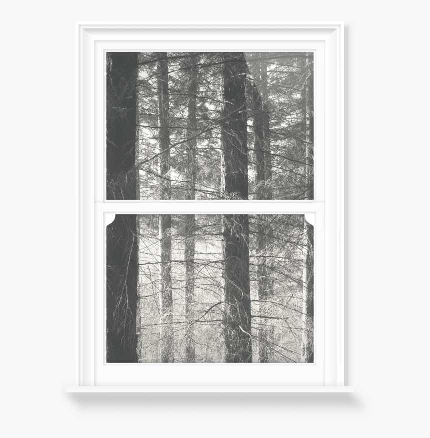 Picture Frame, HD Png Download, Free Download