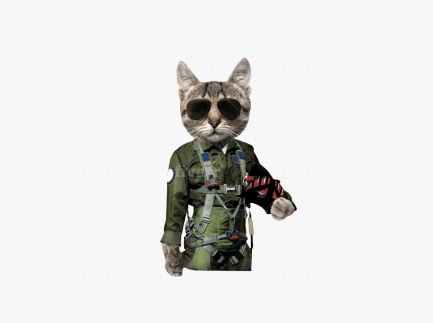 Tom Cat T Shirt, HD Png Download, Free Download