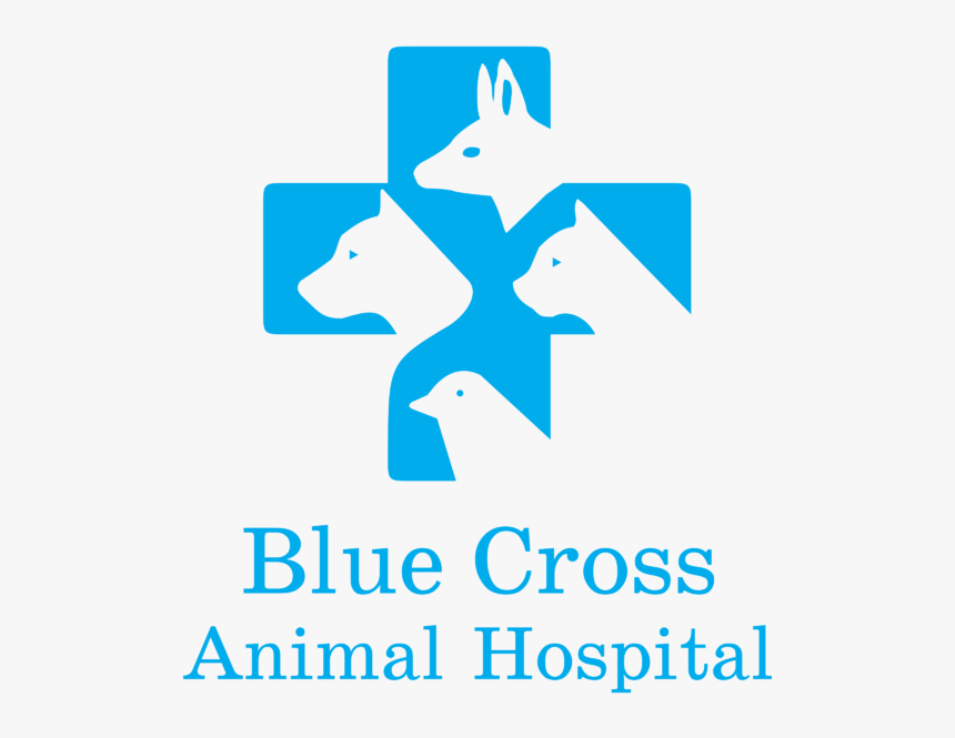 Blue Cross Animal Hospital Logo, HD Png Download, Free Download