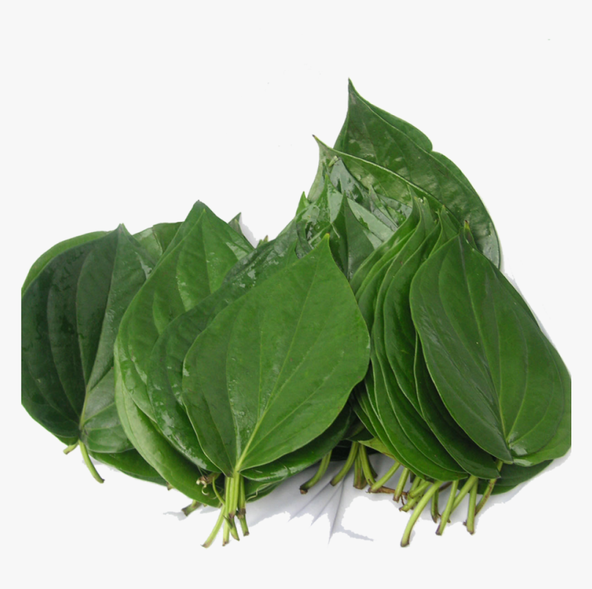 Bitter Leaf, HD Png Download, Free Download