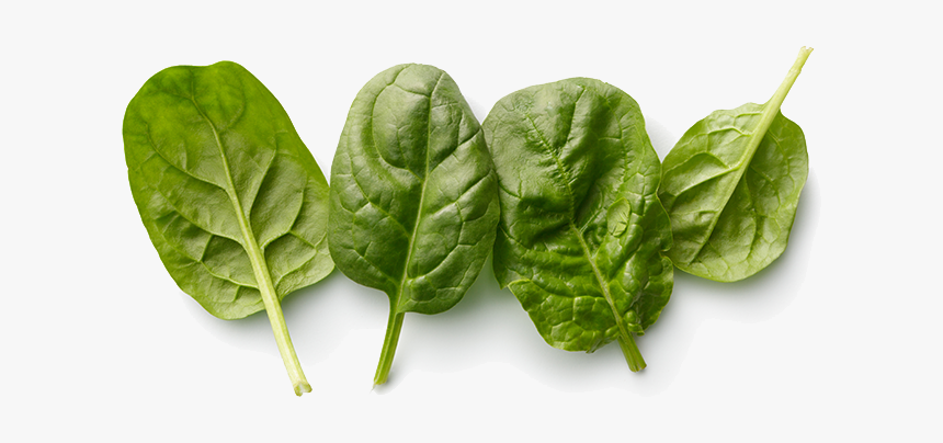 Spinach, HD Png Download, Free Download