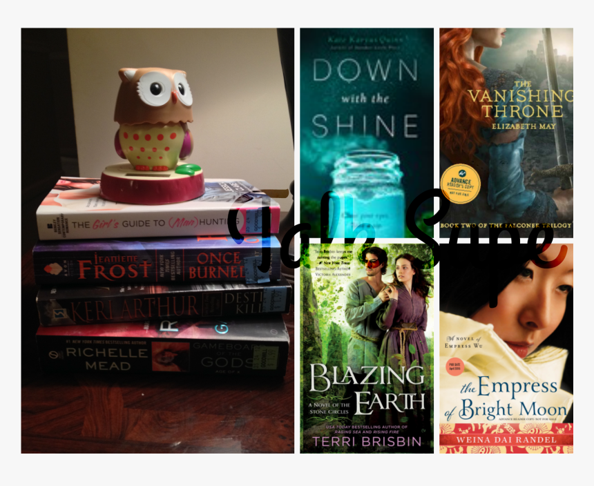 Owl, HD Png Download, Free Download