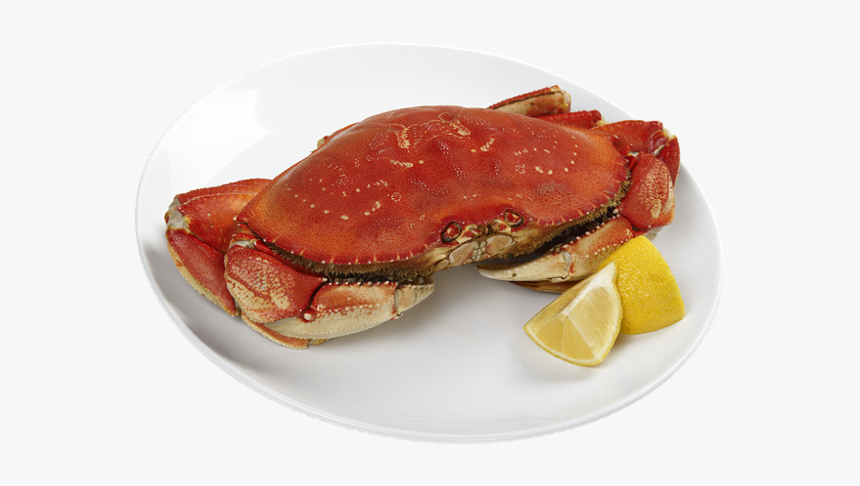 Dungeness Crab, HD Png Download, Free Download