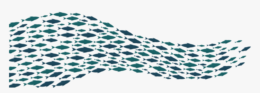 Fishwave, HD Png Download, Free Download