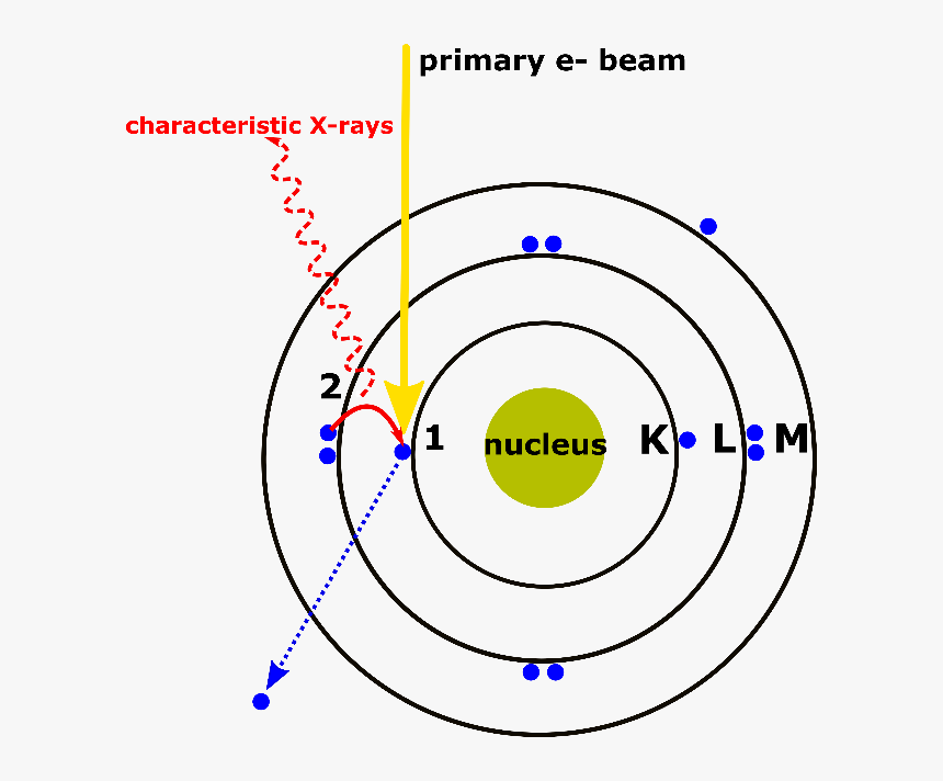 X Rays Are Generated Using Edx Following A Two Step - Energy Dispersive Spectroscopy, HD Png Download, Free Download