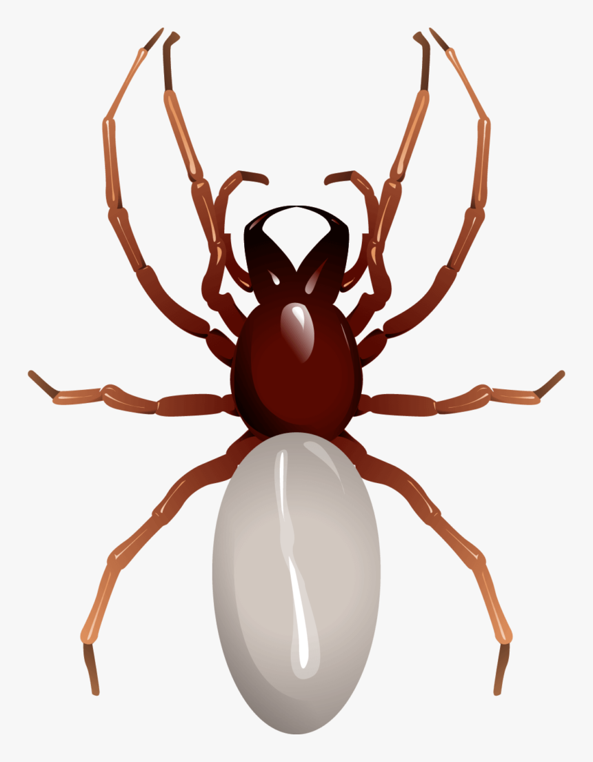 Ant, HD Png Download, Free Download