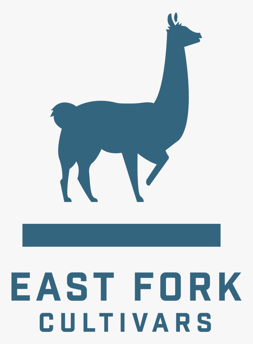 East Fork Cultivars Logo, HD Png Download, Free Download