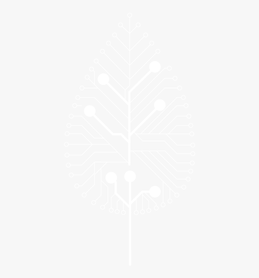 Np Tech Leaf Veined Circuit 307516 Ffffff - 1920 * 1080 White, HD Png Download, Free Download