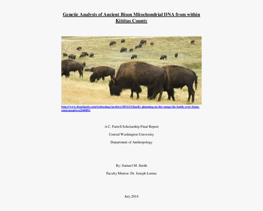 Bison, HD Png Download, Free Download