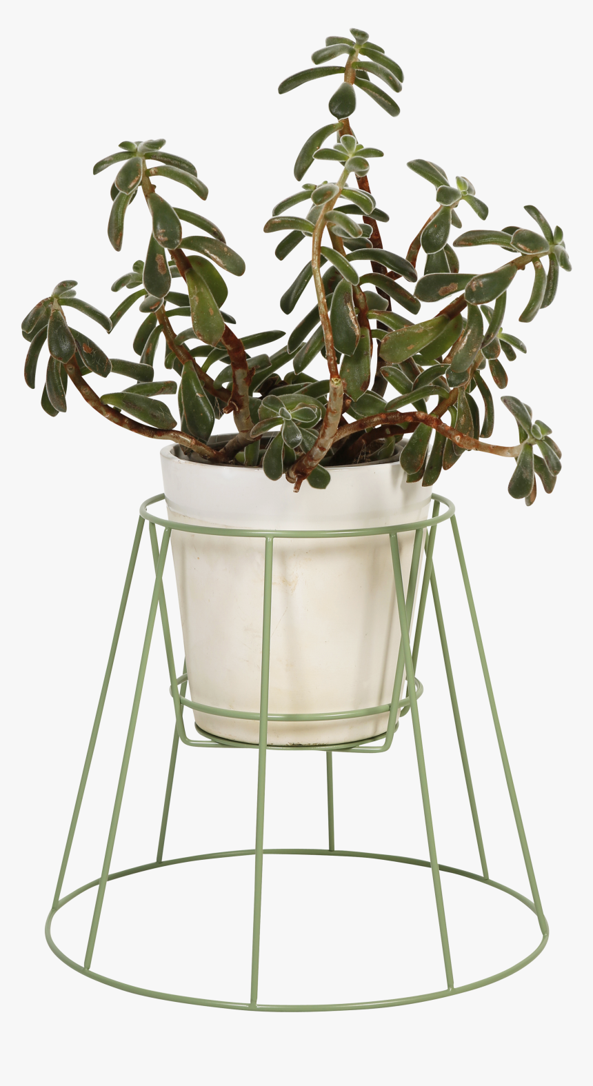 Plant Stand Cibele - Cibele Plantenhouder Groen, HD Png Download, Free Download