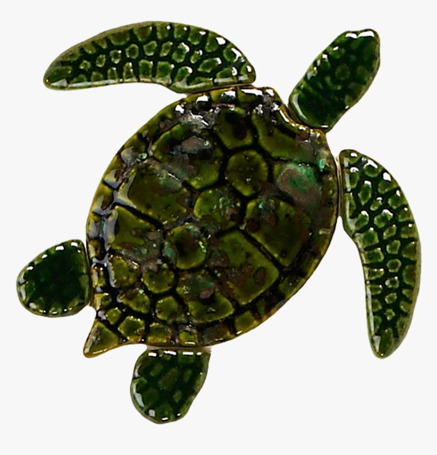 Gt7-5 5in - Sea Turtle Baby, HD Png Download, Free Download