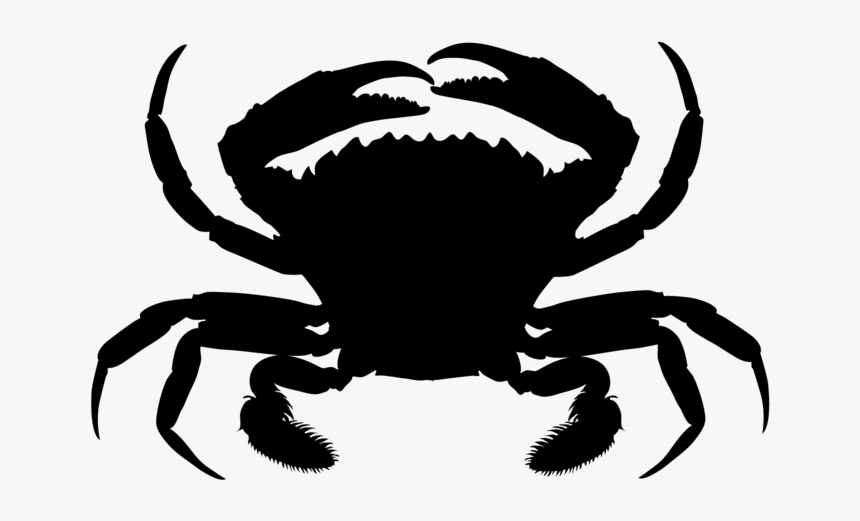 Crab - Fresh Crab, HD Png Download, Free Download