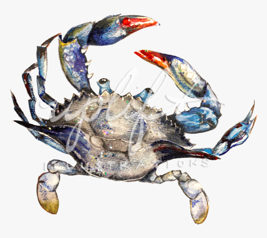 Crab - Chesapeake Blue Crab, HD Png Download, Free Download