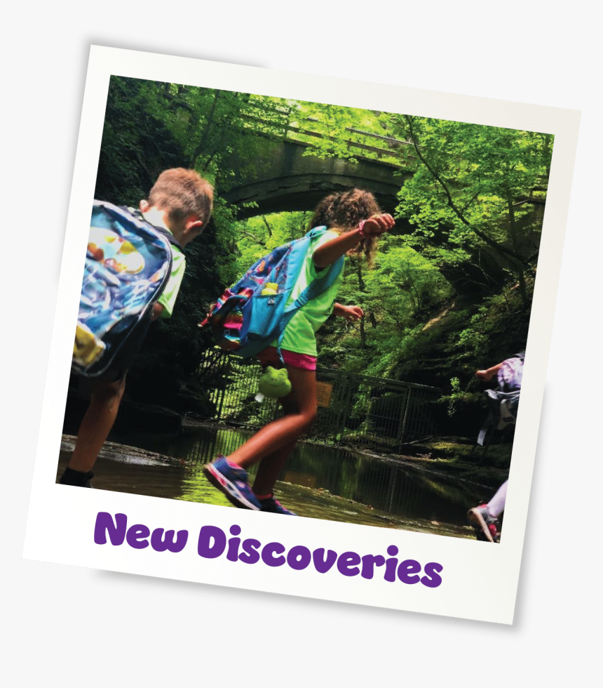 Flyer, HD Png Download, Free Download