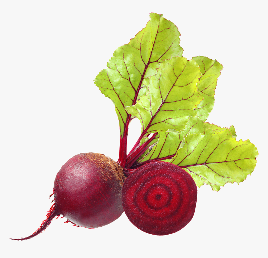 Beet Png - Beetroot Png, Transparent Png, Free Download